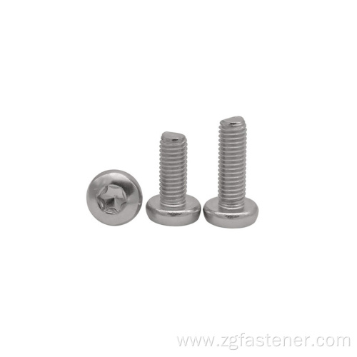 Stainless Steel Plum Pan Head Machine Screws